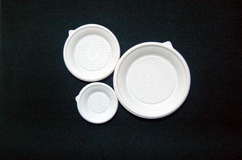 친환경 접시